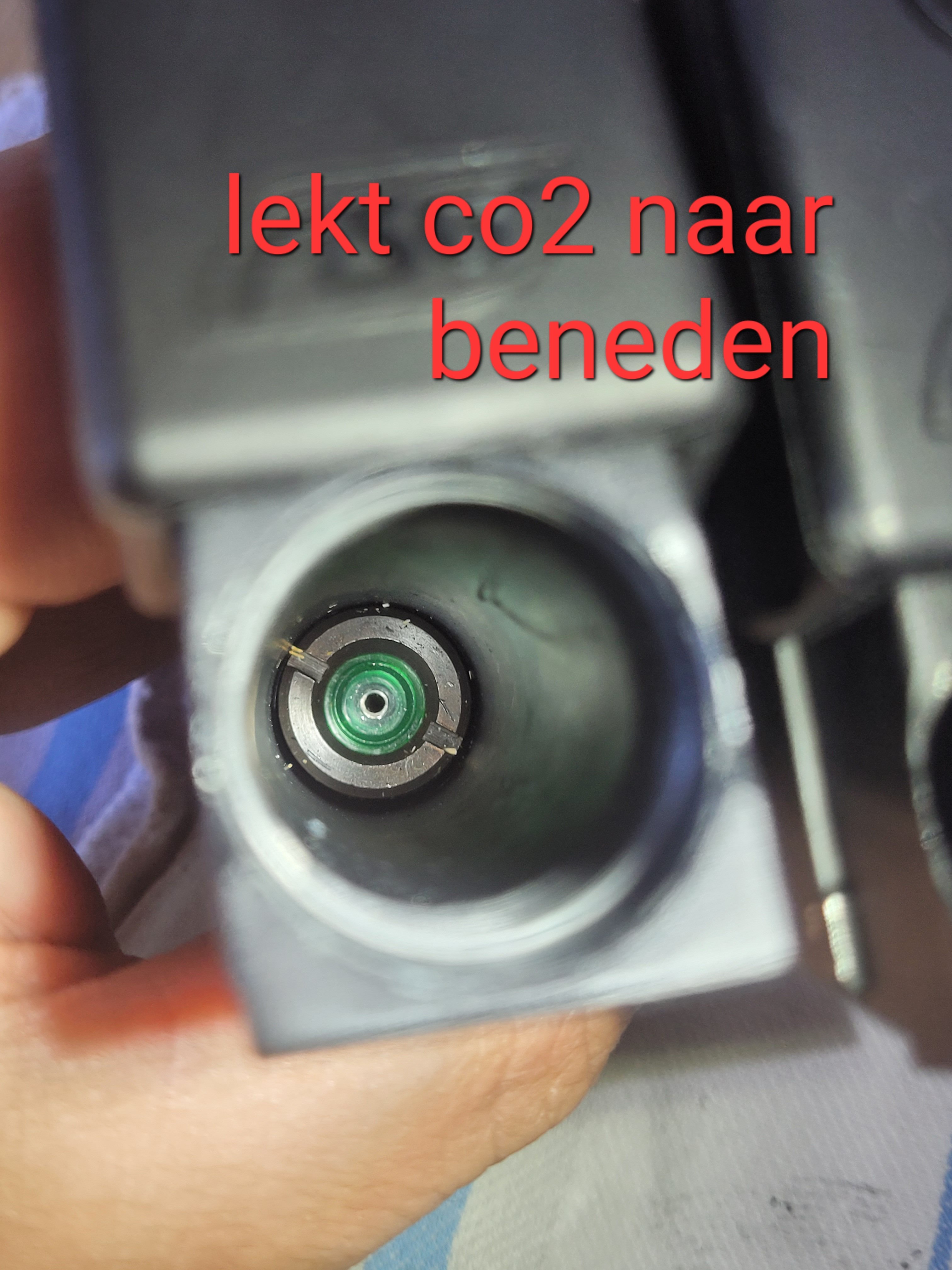 20250428_133134.jpg