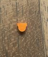 IMG_6854.jpeg