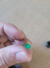 20250428_141536.jpg
