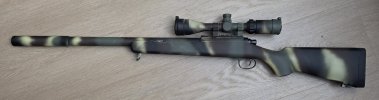 24443.jpg